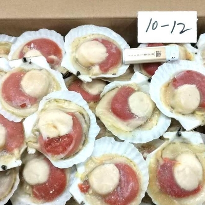Recomenda-se fortemente a obtenção de caranguejos congelados com processo de congelamento BQF