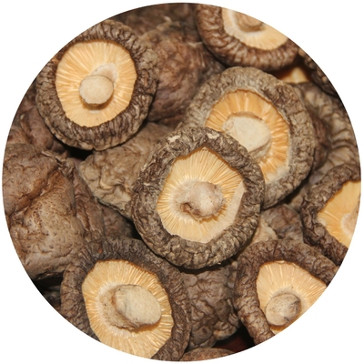 Extracto de cogumelo de casca de leão castanho Cogumelo de shiitake seco 1 kg/saco