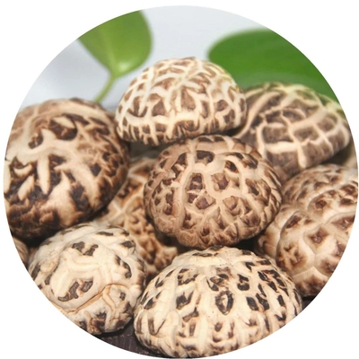 Extracto de cogumelo de casca de leão castanho Cogumelo de shiitake seco 1 kg/saco